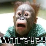 WTF-071308A