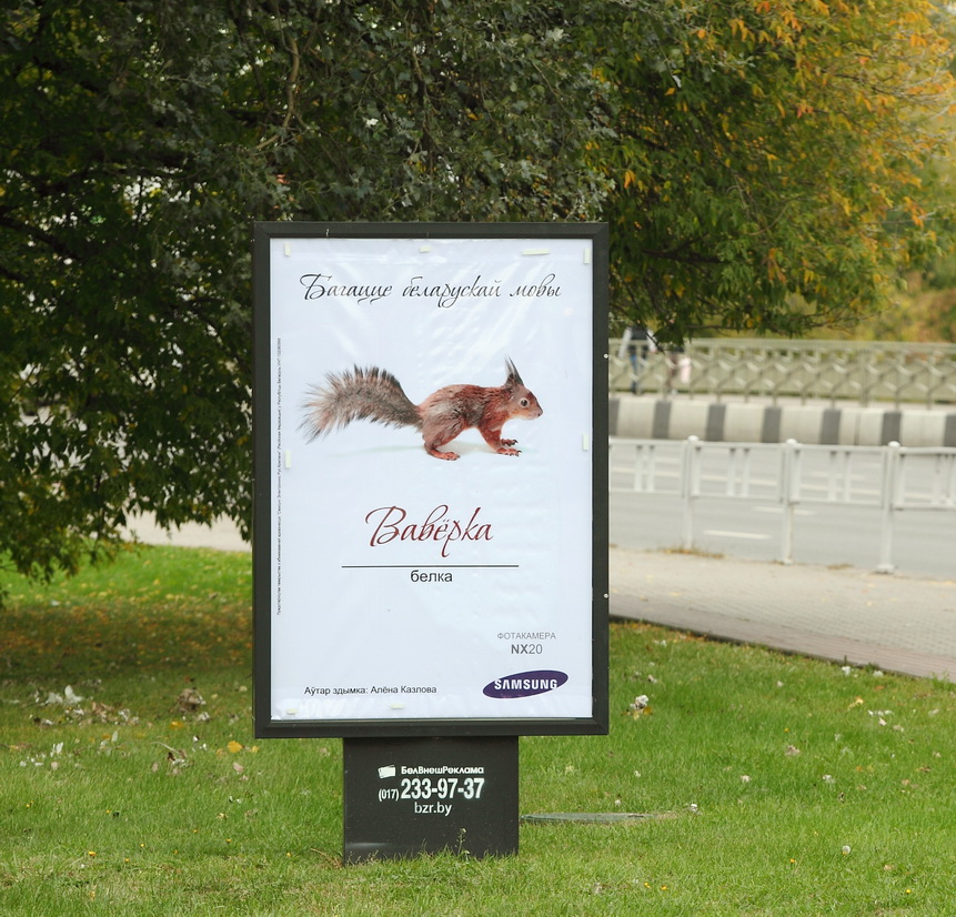 белорусский фон. агрэст сацыяльная рэклама. слова на беларускай мове. белорусский узор. багацце мовы.