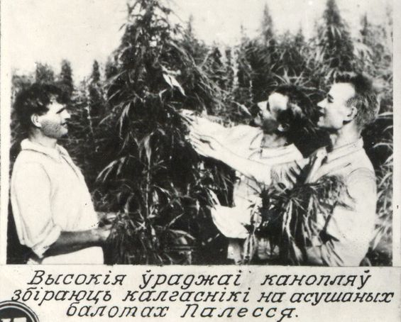 Fota z archivu BDAKFFD.
