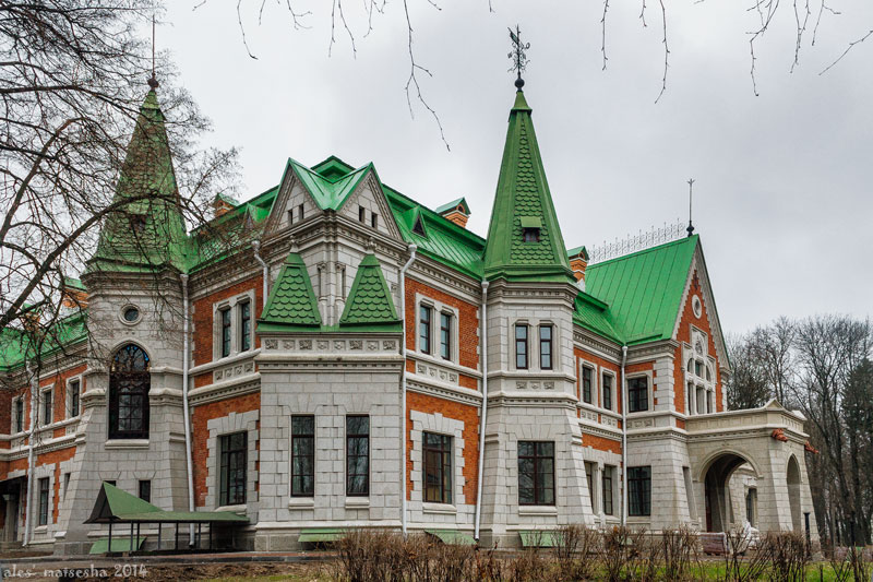 Палац Козел-Паклеўскіх (wikipedia).jpg
