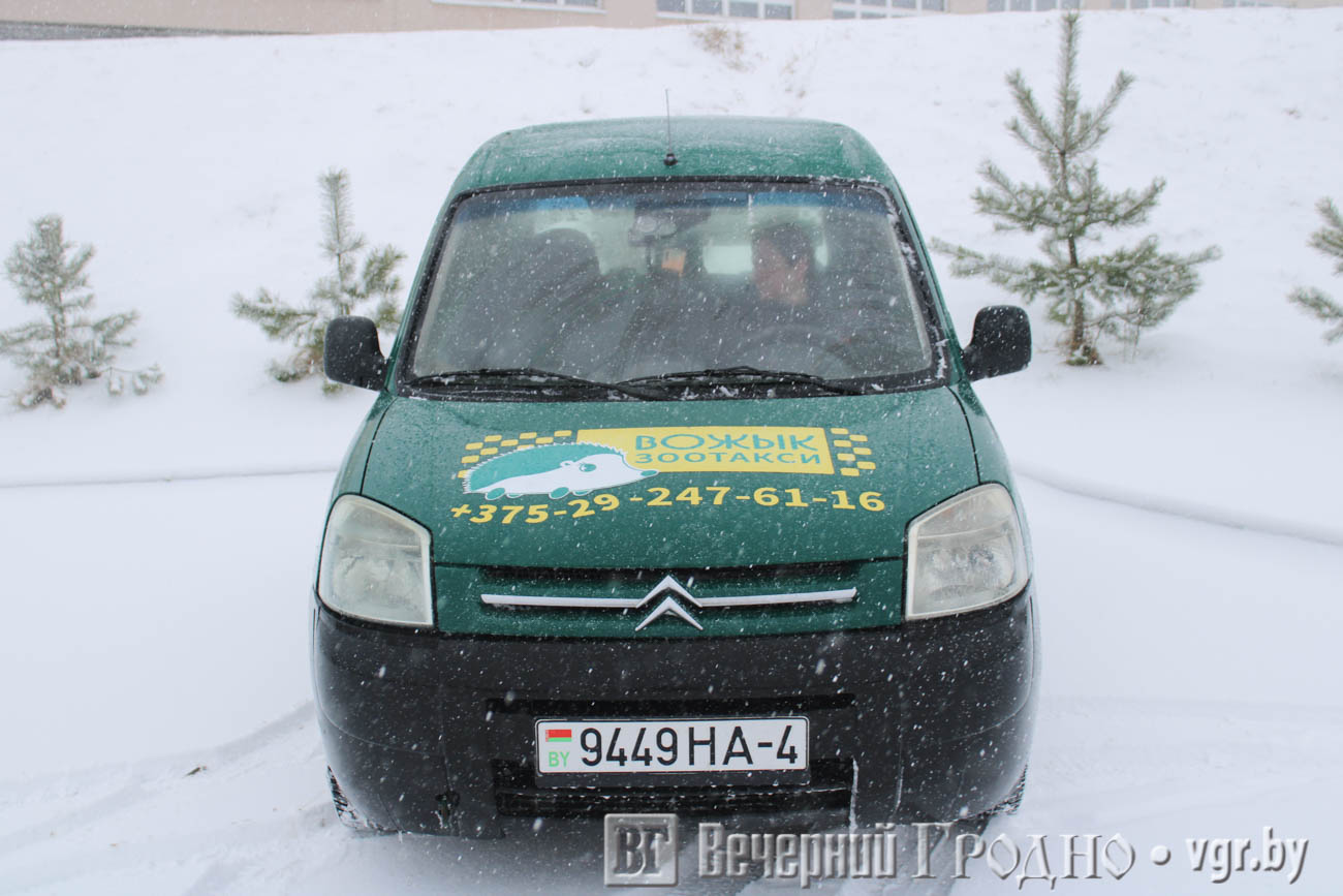 taxi_vozhyk_01.jpg