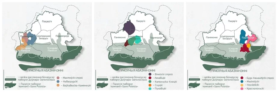 Miežy etnahrafičnych rehijonaŭ čamuści režuć navat mnohija bazavavyja etnahrafičnyja adziniki, takija jak arealy raspaŭsiudžannia narodnych strojaŭ. Fota: instahram «Paznaj Paliessie»