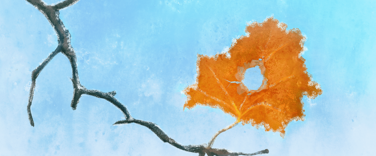 919a2040-2a66-11eb-a60c-3b8517cf5f41.png 919a2040-2a66-11eb-a60c-3b8517cf5f41.png