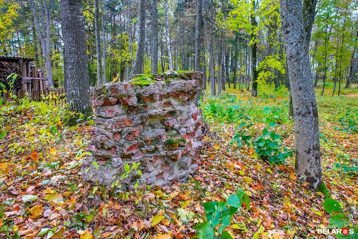 Park u Biaĺmontach