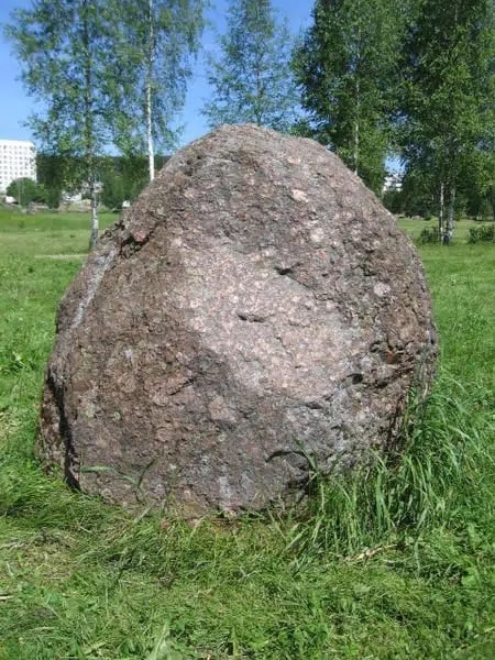 239.jpg
