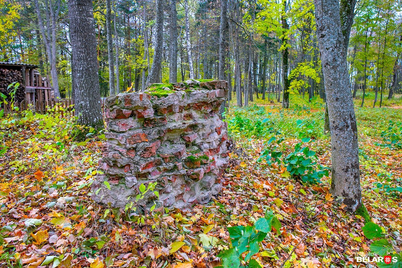 парэшткі сядзібы Пляттэраў