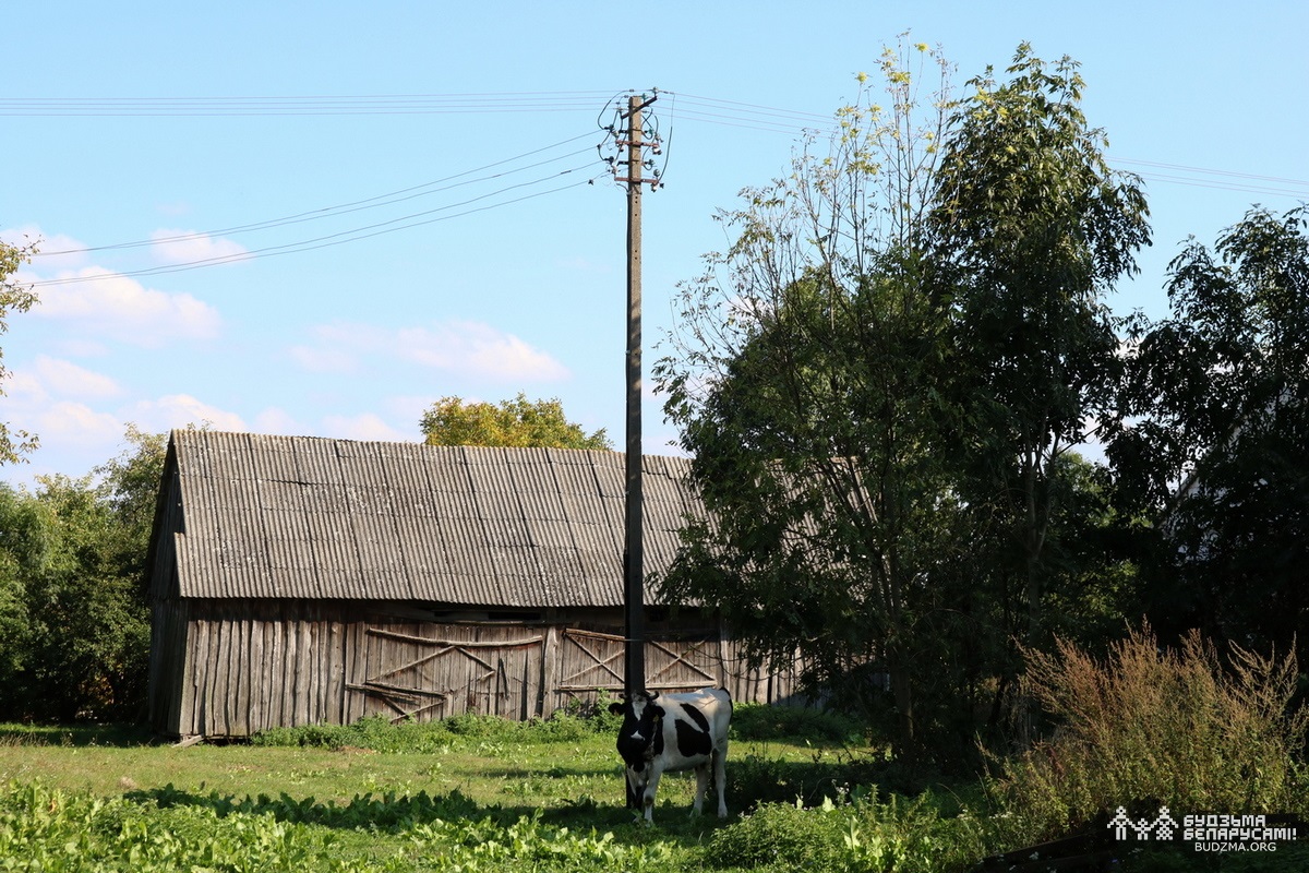 Draŭlianaja zabudova ŭ Livie