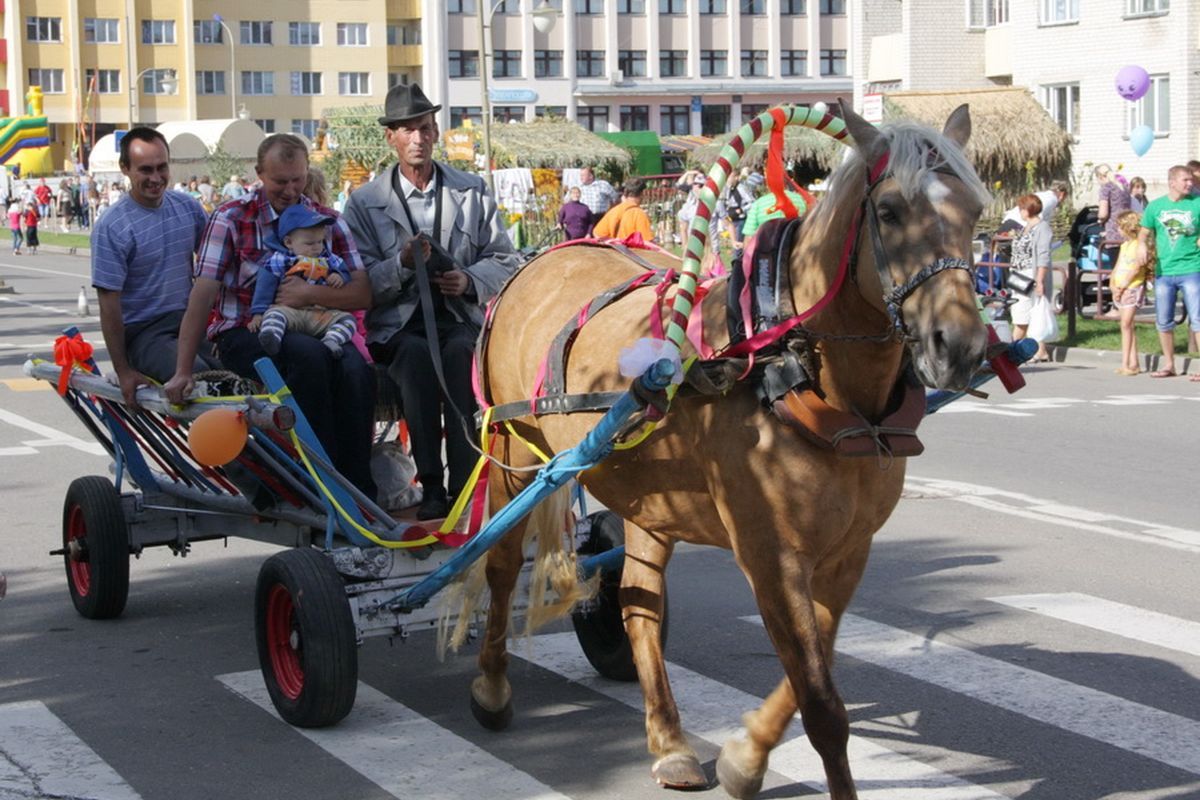 Hannienski kirmaš