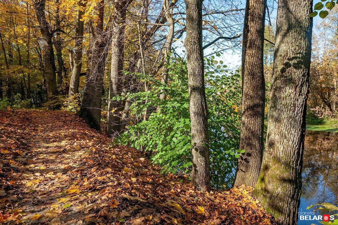 Pałac Kozieł-Pakleŭskich u Krasnym Bierazie, park. Fota: 34travel.me