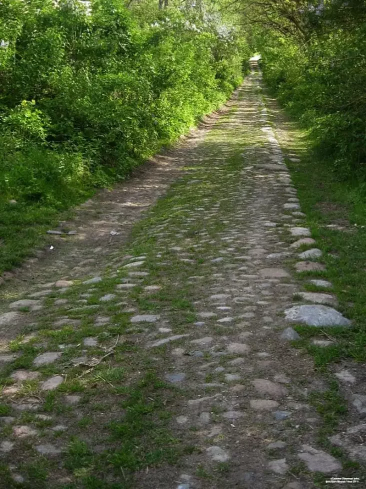 Brukavanka, jakaja viadzie ŭ siadzibu Puzynaŭ