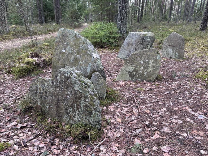 Vałuny Kamiennyja vały Sciebierakskija