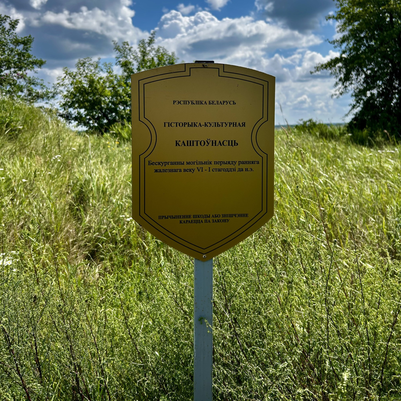Archiealahičnyja raskopki
