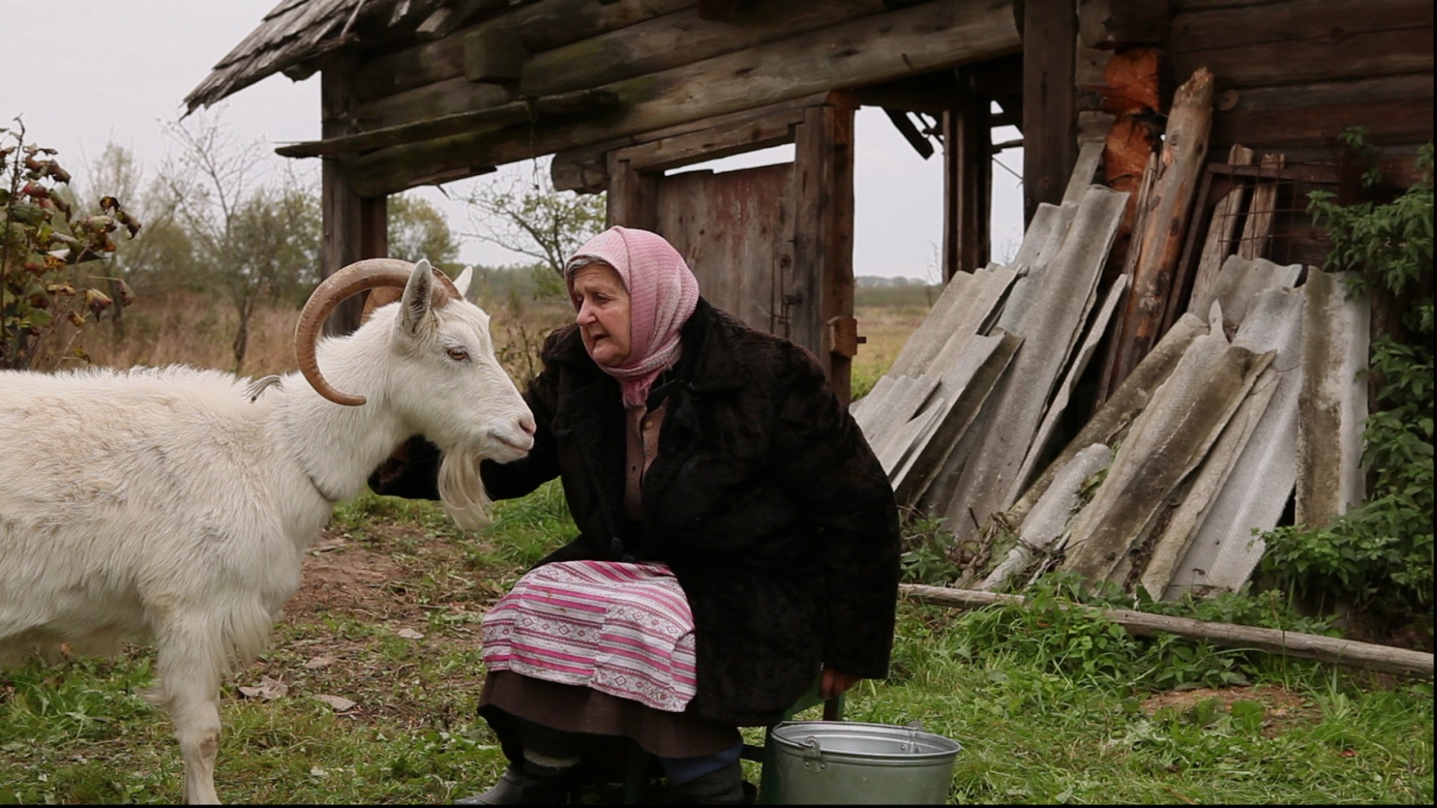 Kadr z fiĺma «Baba, Vania i kaza» 