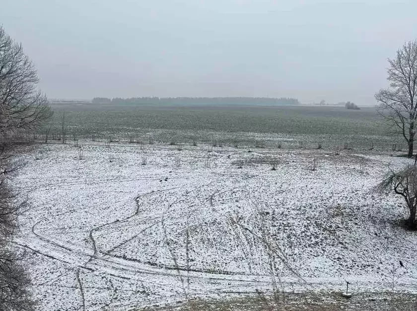 Haradzišča na Miency