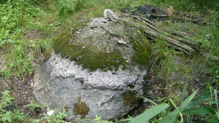 238.jpg