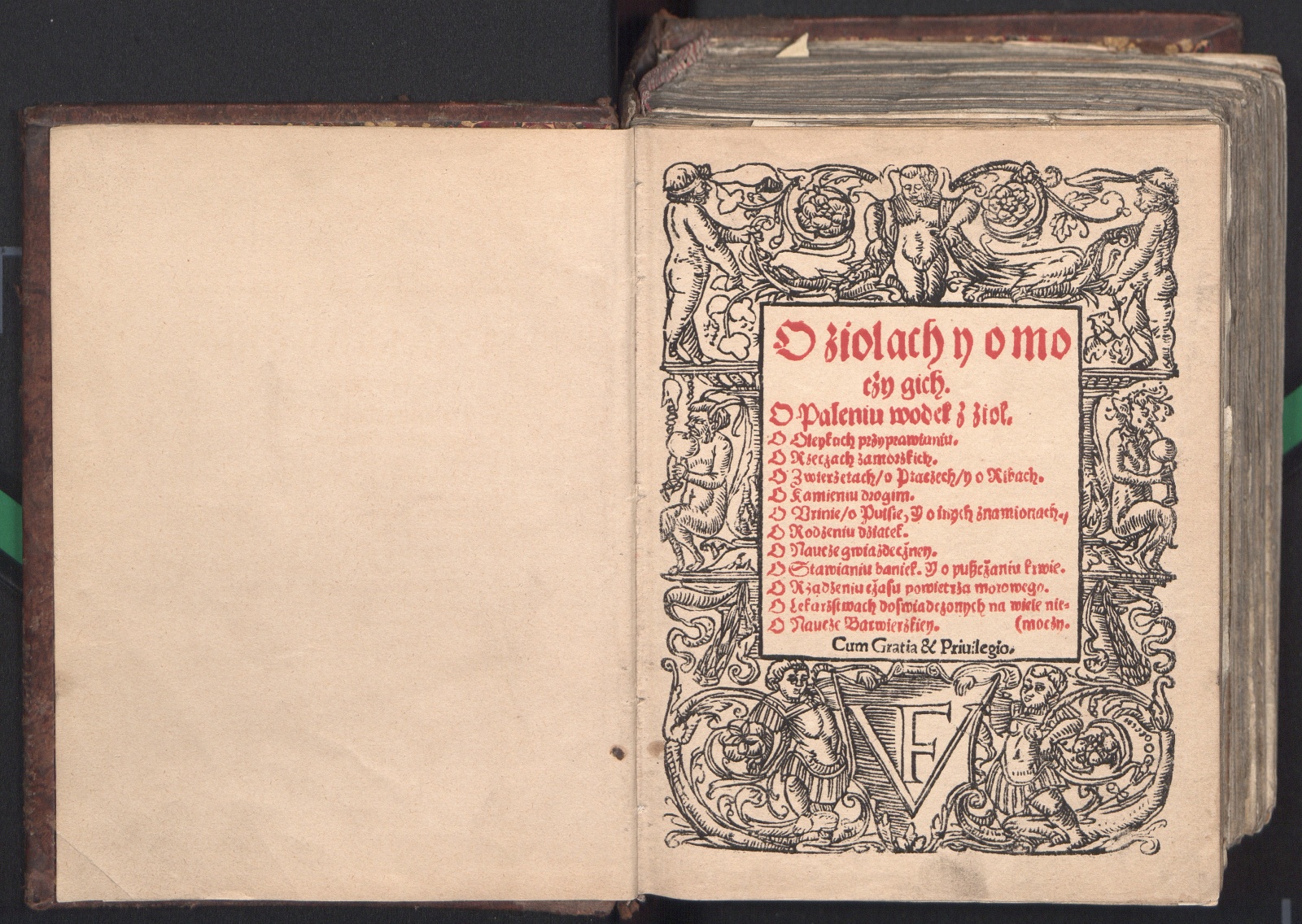 Vokladka knihi 1534 h. vydannia z receptami «vodak» — liačebnych spirtavanych nastojek