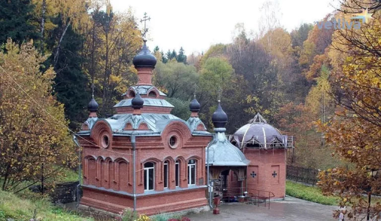 Palykovičy