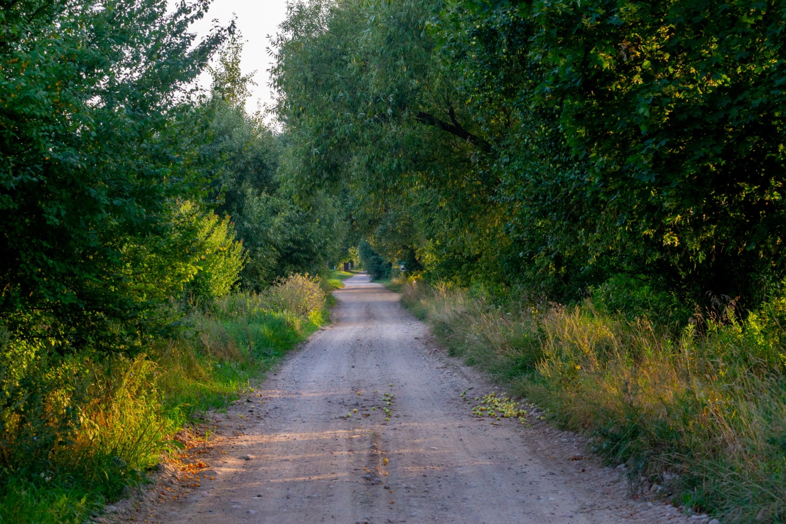 Ландшафты і людзі Сакольшчыны - Чорнай Русі (2).jpg