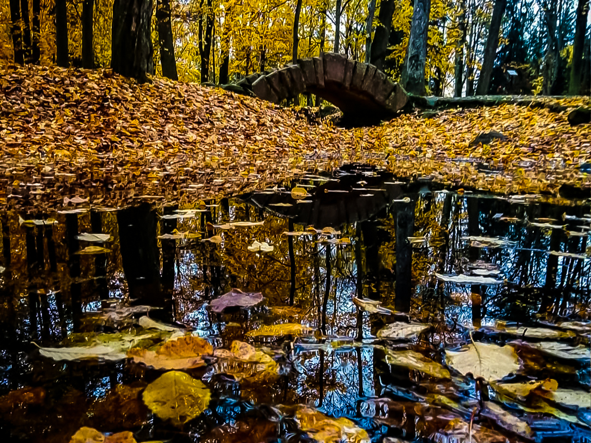 Park u Niasvižy