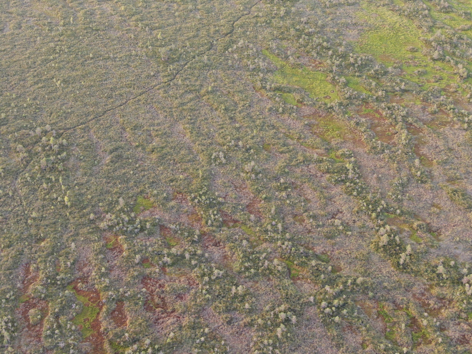DJI_0735.JPG