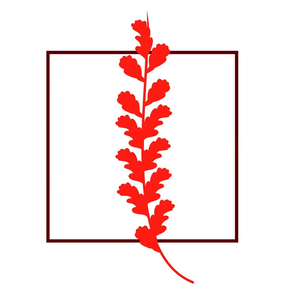 246142486_106578055144638_2714927041219413618_n.jpg