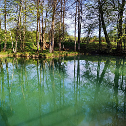 Крыніца