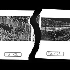 Кадр з відэа «Асіметрычны гласарый»