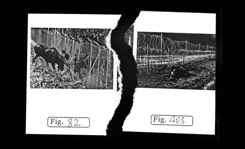 Кадр з відэа «Асіметрычны гласарый»