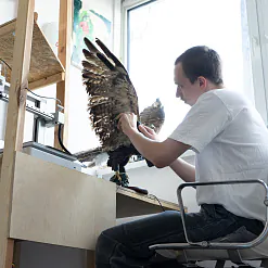 Аляксандр Адамаў