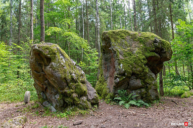 Камяні