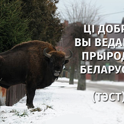 Ці добра вы ведаеце прыроду Беларусі (Тэст)