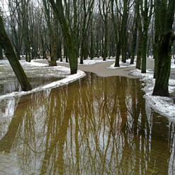 4 o’clock з Брусам Бакнэлам: Паводка