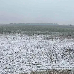 Гарадзішча на Менцы