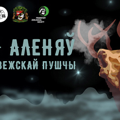 Ноч аленяў у Белавежскай пушчы. Наперад за ўражаннямі!