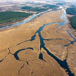 Мора Герадота: рэкі Прыпяць, Гарынь і Льва
