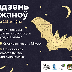 Страшна ці няшна? У Беларусі пройдзе Тыдзень кажаноў