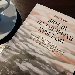 «Зямля пад шэрымі крыламі». Бітва, у якой Лукашэнка перамог