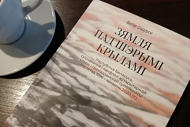 «Зямля пад шэрымі крыламі». Бітва, у якой Лукашэнка перамог