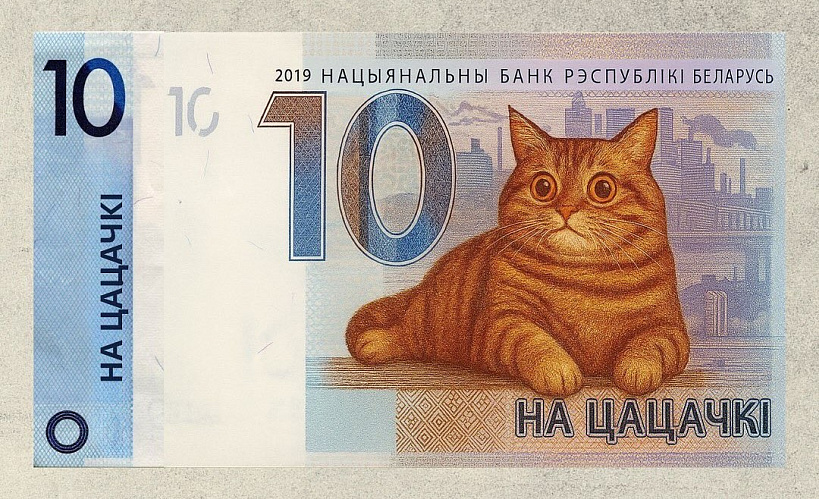 Як маглі б выглядаць грошы для хатніх гадаванцаў? Беларуская заакрама распрацавала жартоўны дызайн