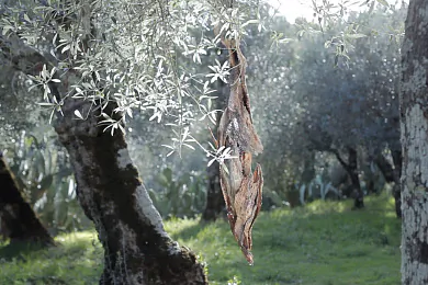 «Ты ёсць сад»