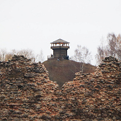 Альгерд 