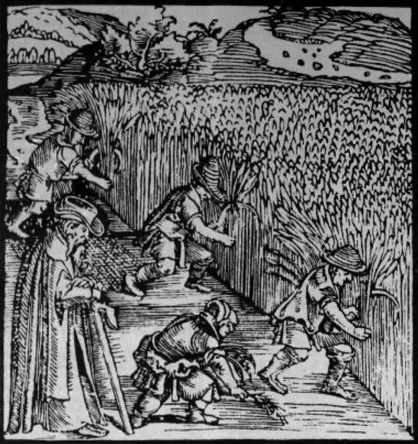 Praca pryhonnych adlustravana navat na hraviurach u Biblii Skaryny (kniha «Ruf») Praca pryhonnych adlustravana navat na hraviurach u Biblii Skaryny (kniha «Ruf»)
