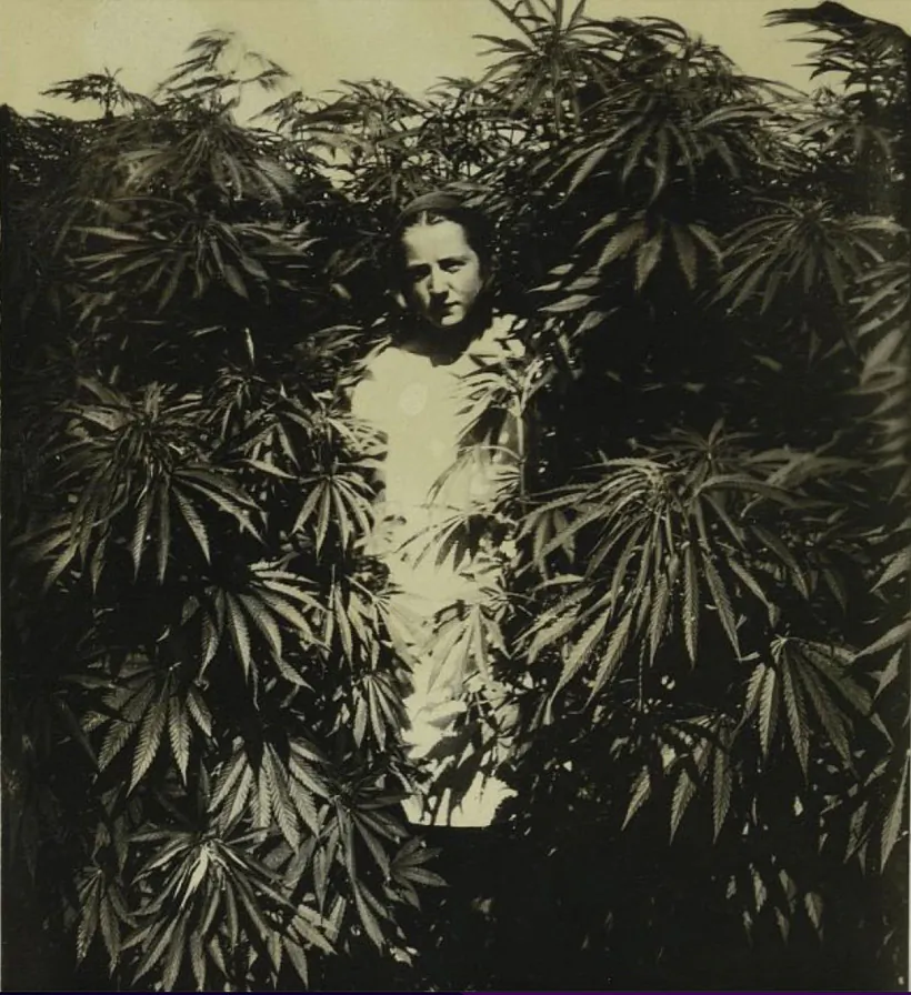 Fota z archivu BDAKFFD. Fota z archivu BDAKFFD.