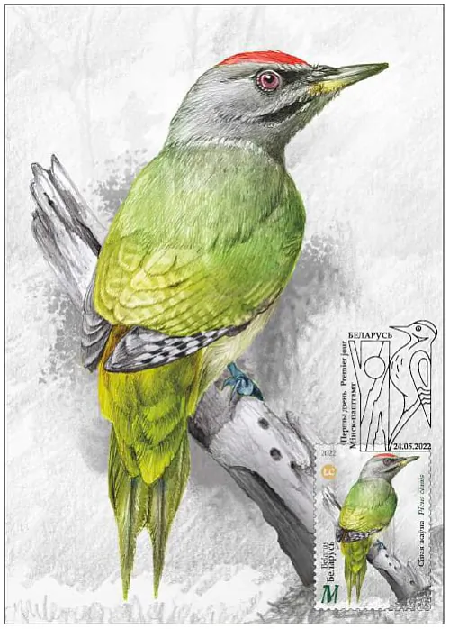 photo_2022-06-01_10-35-52.jpg photo_2022-06-01_10-35-52.jpg