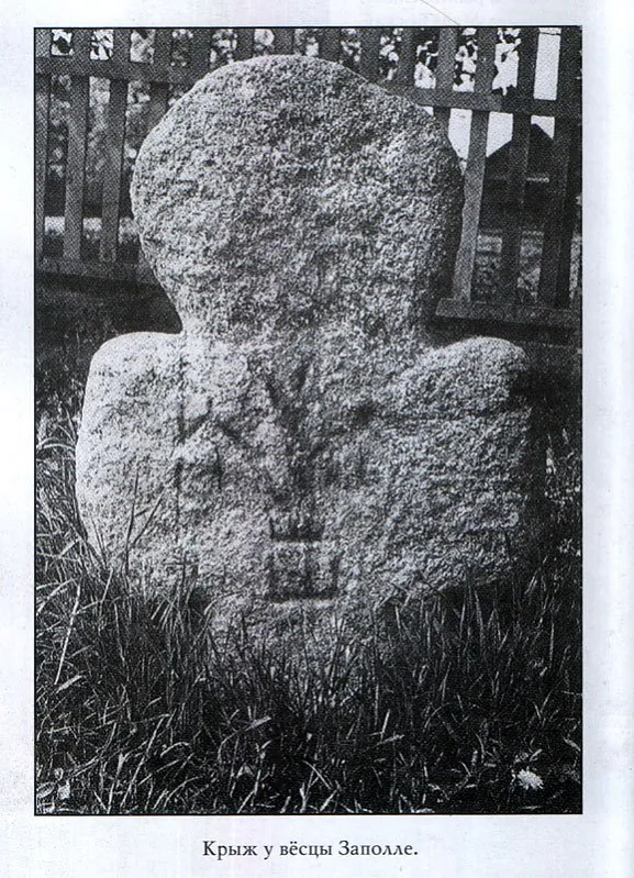 выявы на крыжы