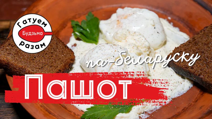 pashot_cover.png pashot_cover.png