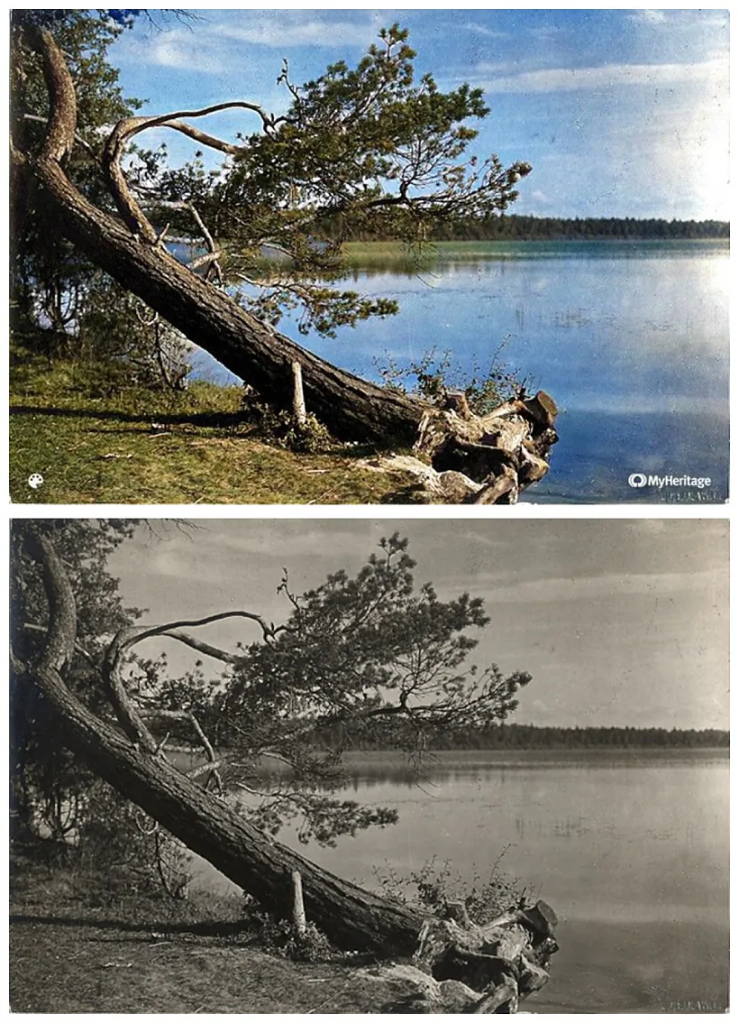 mal_27_Sviciaz 1934.jpg mal_27_Sviciaz 1934.jpg