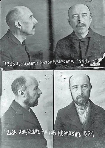 Anton Luckievič Anton Luckievič