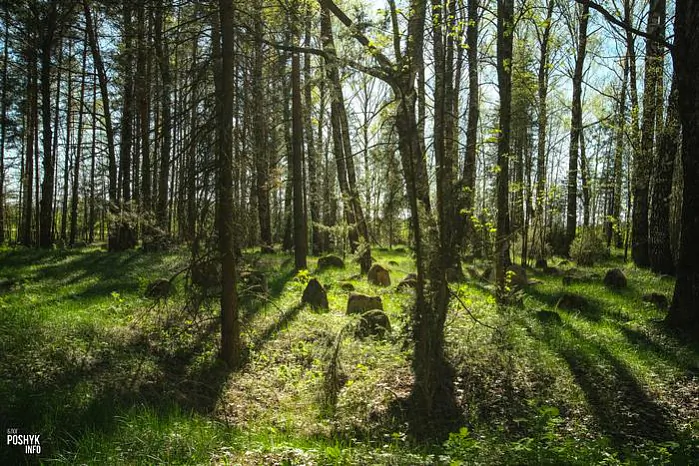 Jaŭrejskija mohilki ŭ Rasnie Jaŭrejskija mohilki ŭ Rasnie