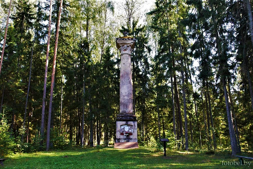 5.jpg 5.jpg